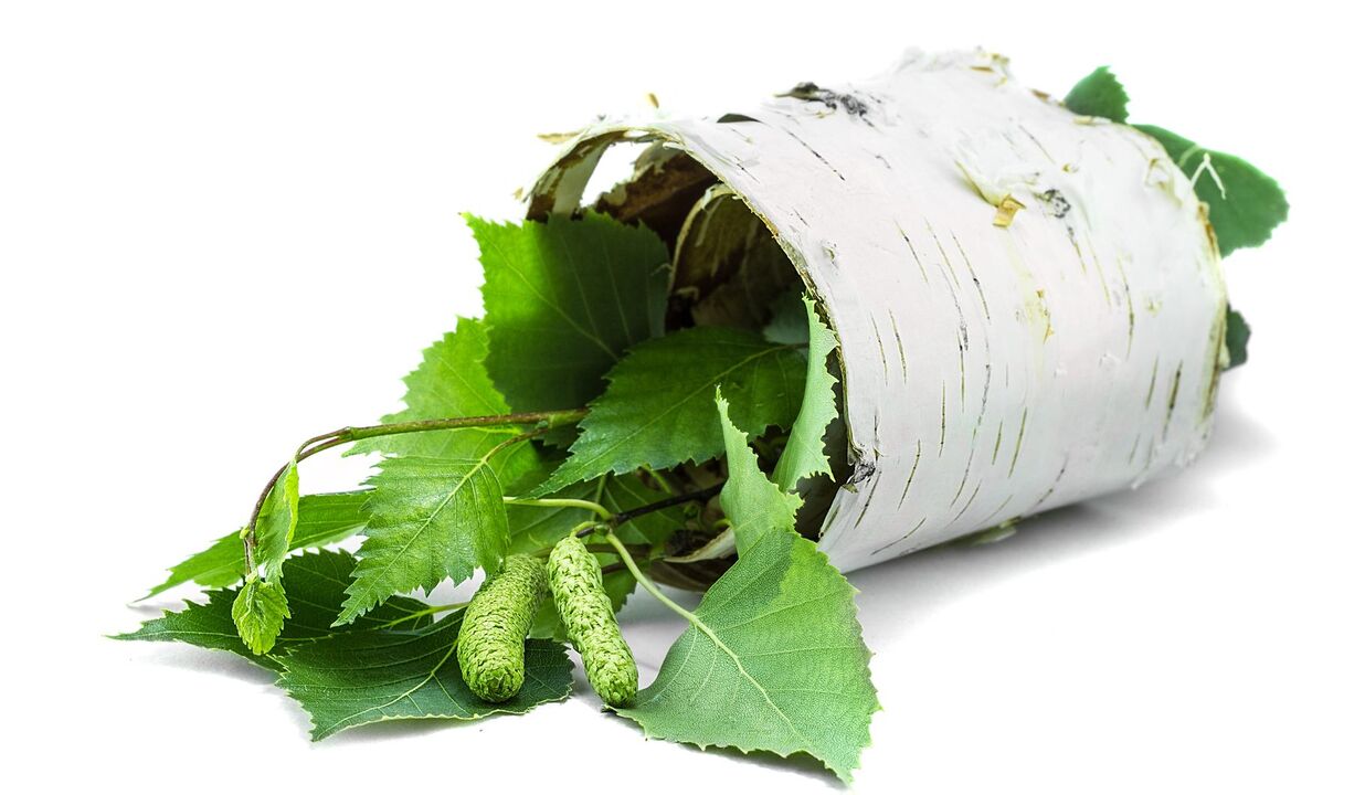 Birch a Rinde Extrakt als Deel vum DeMyxil Crème
