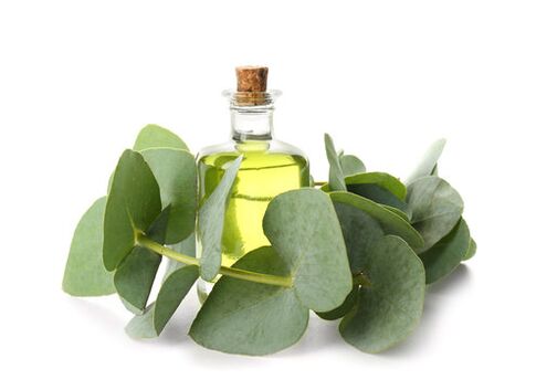 Eucalyptus Ueleg als Deel vum DeMyxil Crème
