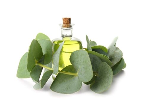 Eucalyptus Ueleg als Deel vun der ZXCVBNQWECWOR CRE